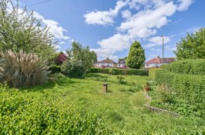 Communal field- click for photo gallery